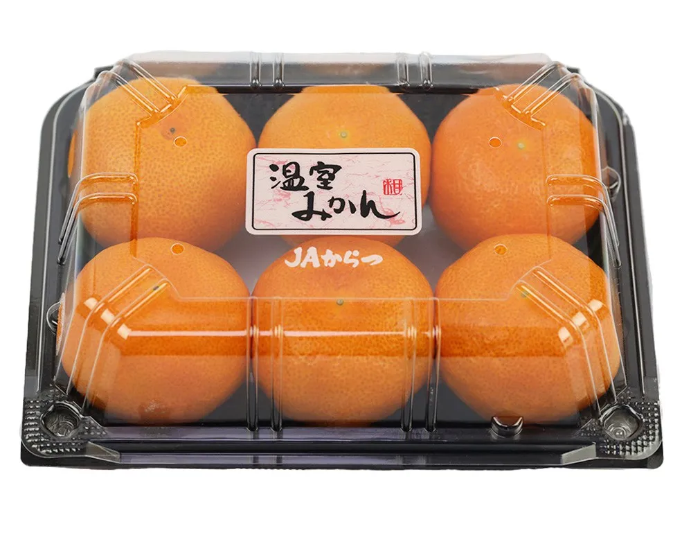 日本 佐賀/熊本/愛媛縣 溫室蜜柑 碟裝 5-6玉