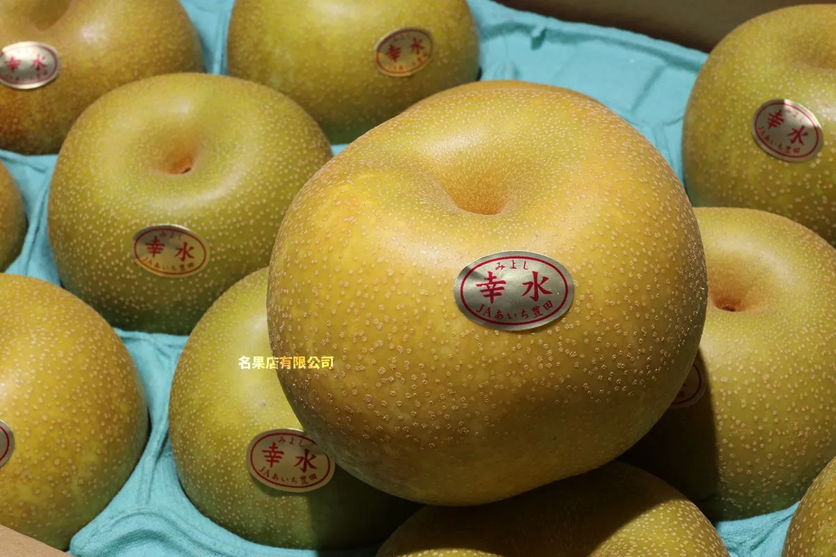 日本 佐賀/豐田/長野縣 幸水梨 原箱 5kg 10-12玉
