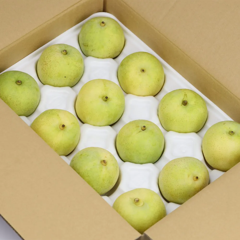 日本 鳥取縣 20世紀水晶梨 10kg 原箱 20-24玉
