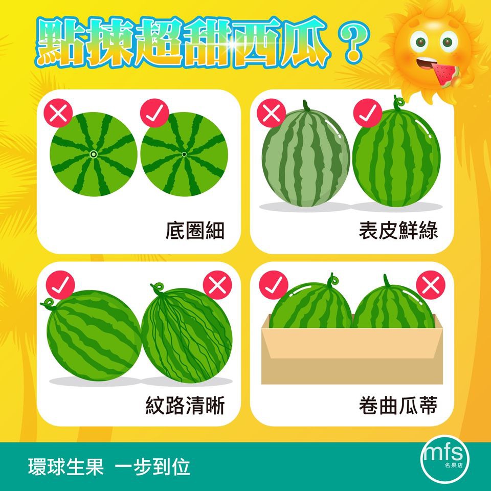 教你點揀靚西瓜 !